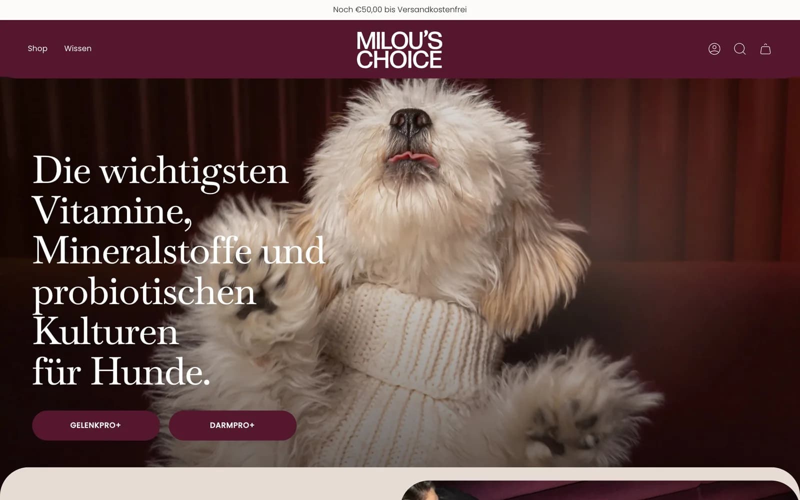 Projektansicht für Milou’s Choice