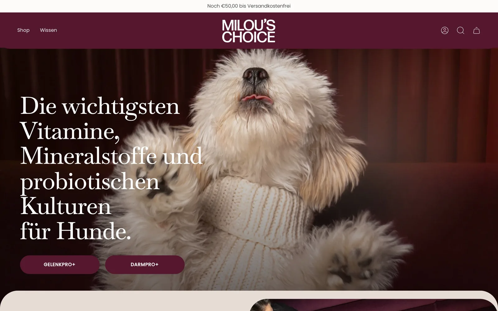 Milou’s Choice – die Startseite des Onlineshops, von uns gestaltet und gebaut.